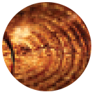 Timber Veneer on Plywood Timber