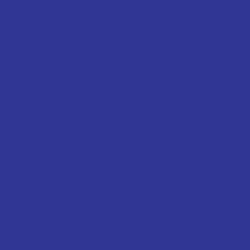 Blue Toilet Seat Only