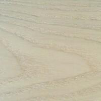 Hampton Beech