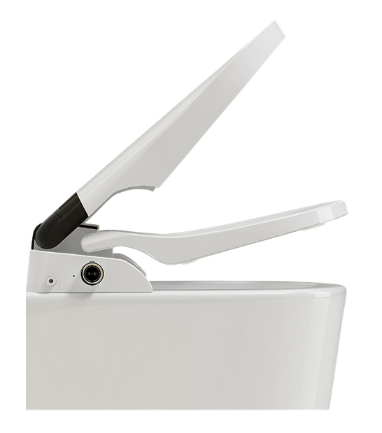Intelligent Bidet Toilet Seat