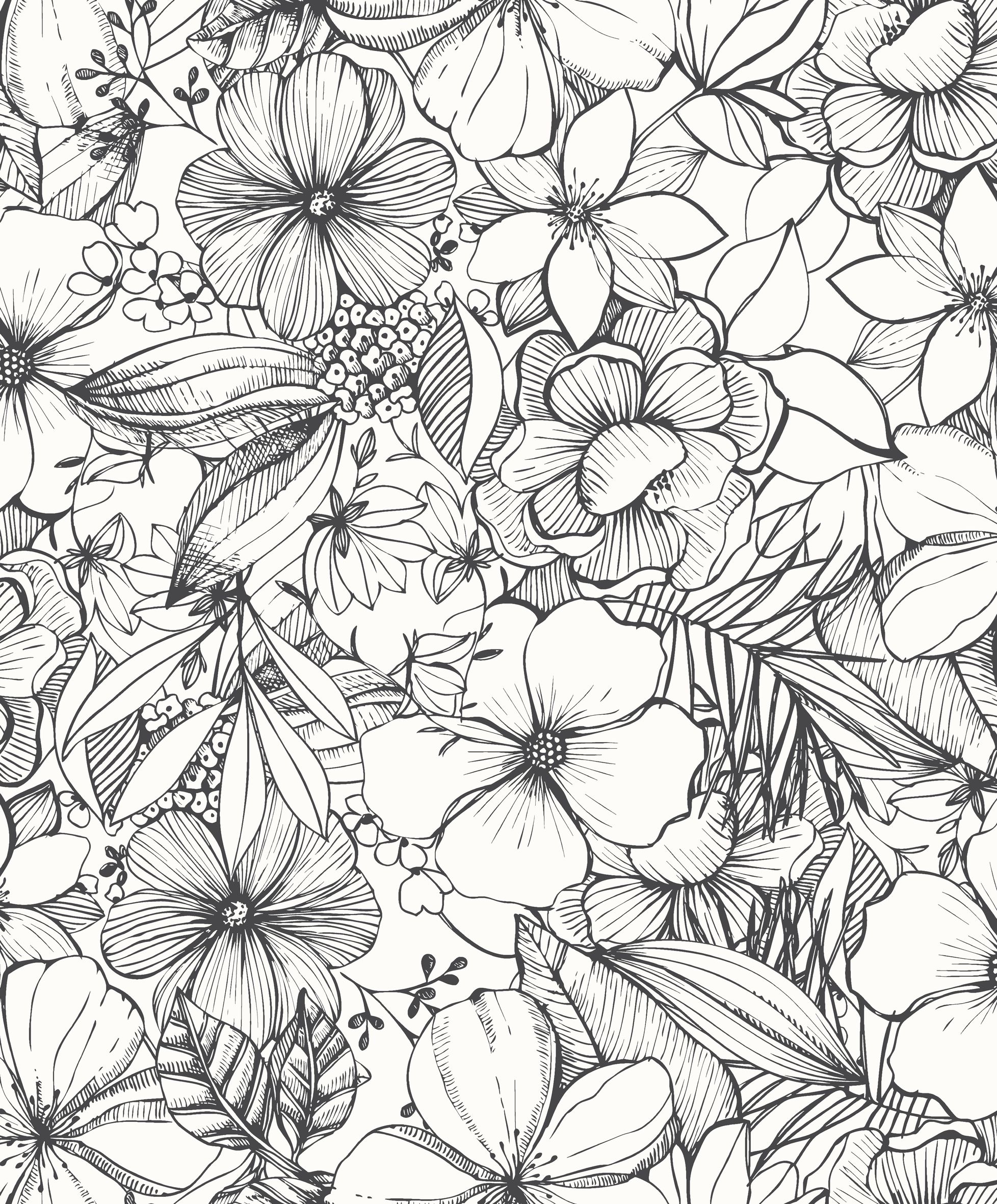 California Dreaming Wallpaper